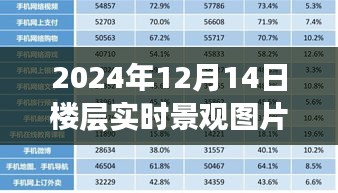 2024年12月14日楼层实时景观图片大全集，从初学者到进阶用户的全方位制作指南