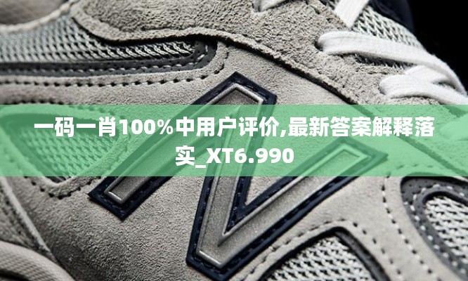 一码一肖100%中用户评价,最新答案解释落实_XT6.990