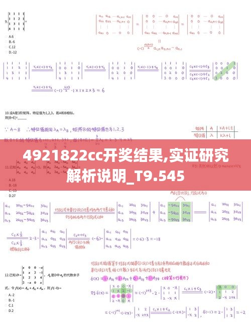 4921822cc开奖结果,实证研究解析说明_T9.545
