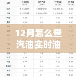 多维度解析与观点碰撞，12月汽油实时油价数据查询指南