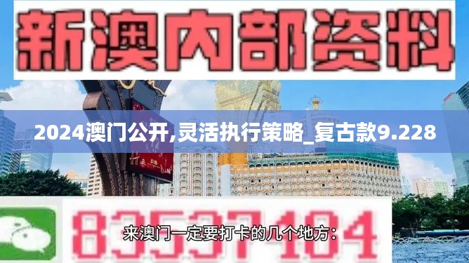 2024澳门公开,灵活执行策略_复古款9.228