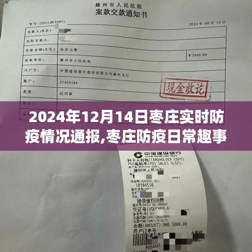 枣庄防疫动态，日常趣事与温馨陪伴时刻（2024年12月14日）