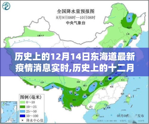 历史上的12月14日东海道疫情实时追踪与深度解析