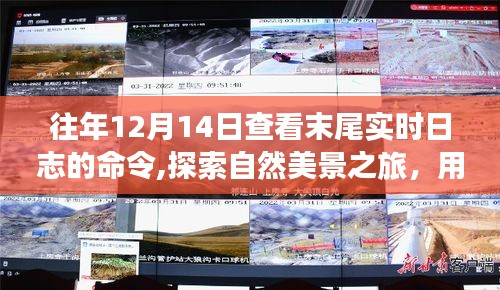 12月14日实时日志末尾探秘，自然美景之旅追寻内心宁静与平和的命令