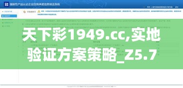 天下彩1949.cc,实地验证方案策略_Z5.783