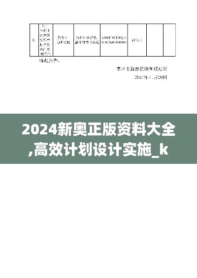 2024新奥正版资料大全,高效计划设计实施_kit6.849