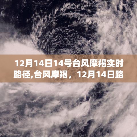 台风摩羯来袭，12月14日路径追踪与影响回顾