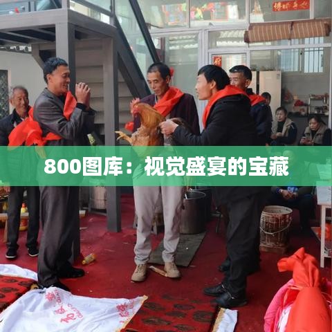 800图库：视觉盛宴的宝藏