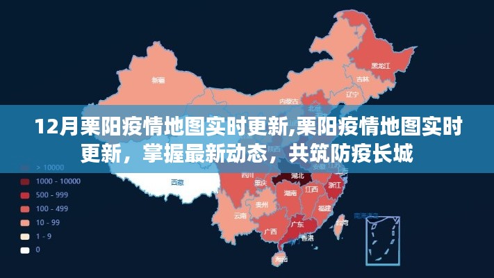 栗阳疫情实时动态更新，共筑防疫长城，掌握最新动态