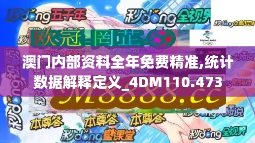 澳门内部资料全年免费精准,统计数据解释定义_4DM110.473