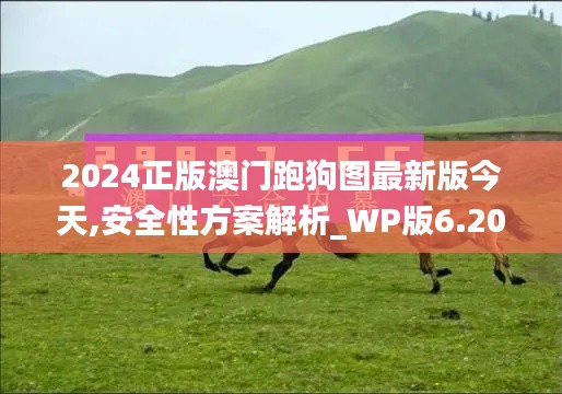 2024正版澳门跑狗图最新版今天,安全性方案解析_WP版6.201