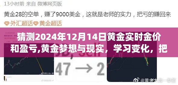 黄金梦想与现实，把握金价盈亏的自信之旅，学习变化预测2024年黄金实时金价盈亏猜测之旅。