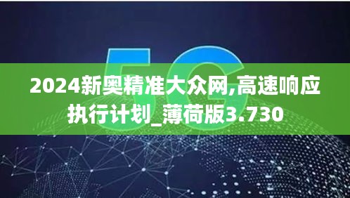 2024新奥精准大众网,高速响应执行计划_薄荷版3.730