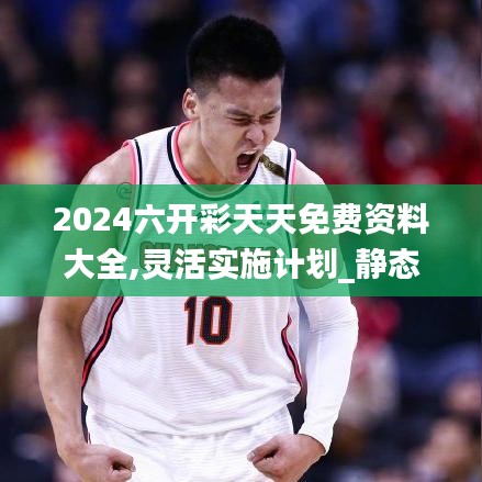 2024六开彩天天免费资料大全,灵活实施计划_静态版15.316