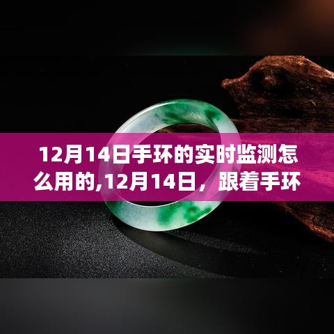 手环实时监测指南，探索自然美景与内心平和之旅