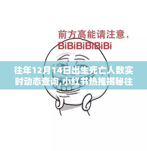 揭秘往年12月14日出生与死亡人数的实时动态查询系统，小红书热推指南