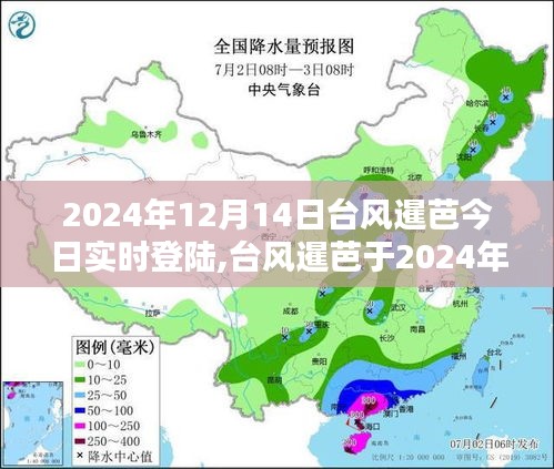台风暹芭正式登陆，实时关注与应对措施