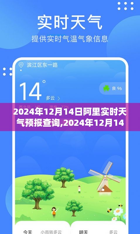 2024年12月14日阿里实时天气预报查询全面解析