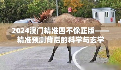2024澳门精准四不像正版——精准预测背后的科学与玄学