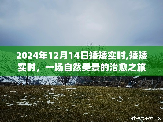 飞燕化龙 第3页