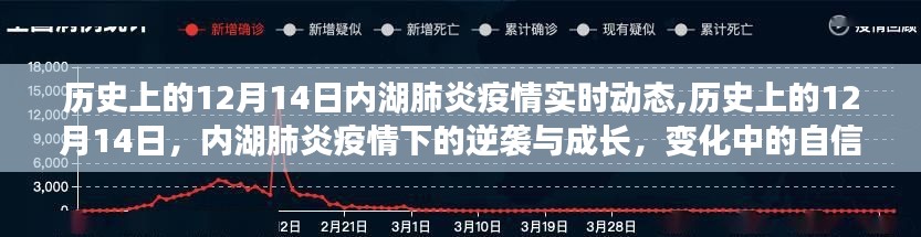 历史上的12月14日，内湖肺炎疫情下的逆袭与成长之路，展现变化中的自信与成就感