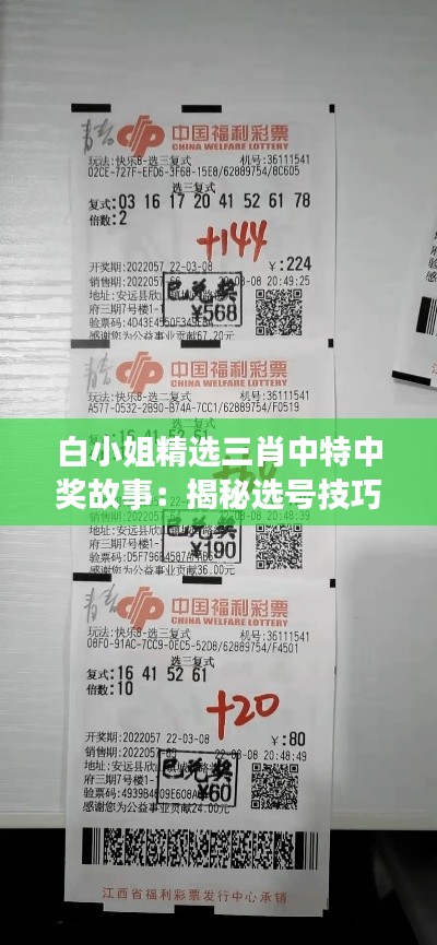 白小姐精选三肖中特中奖故事：揭秘选号技巧背后的智慧与运气