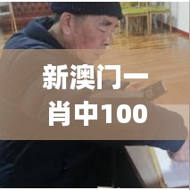 新澳门一肖中100,科学说明解析_GM版1.980