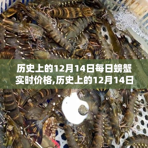 历史上的12月14日螃蟹实时价格详解与全面评测