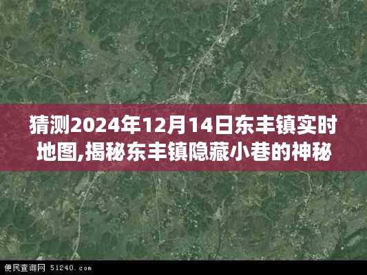 揭秘东丰镇隐藏小巷的神秘宝藏，东丰镇特色小店的奇遇与未来地图预测