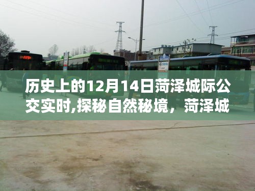 菏泽城际公交启程探秘自然秘境，阳光下的奇妙旅程，实时追踪历史上的12月14日