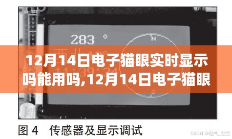12月14日电子猫眼，实时显示与自然美景的对话，开启心灵之旅
