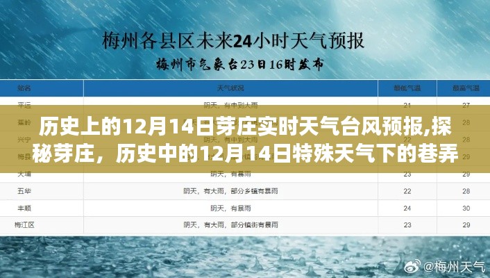 探秘芽庄，历史上的十二月十四日特殊天气下的美食与风情之旅。