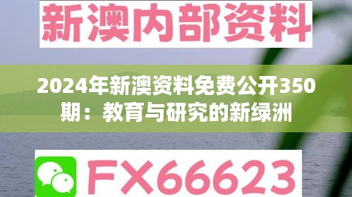 囫囵吞枣 第4页