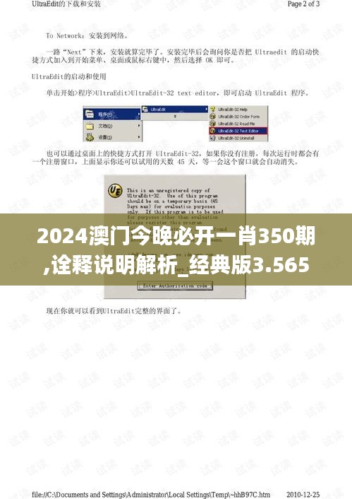 2024澳门今晚必开一肖350期,诠释说明解析_经典版3.565