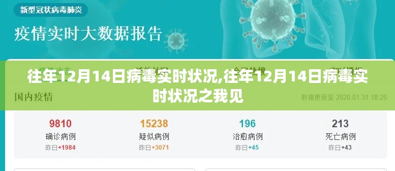 往年12月14日病毒实时状况深度解析与观察，我的见解与观察