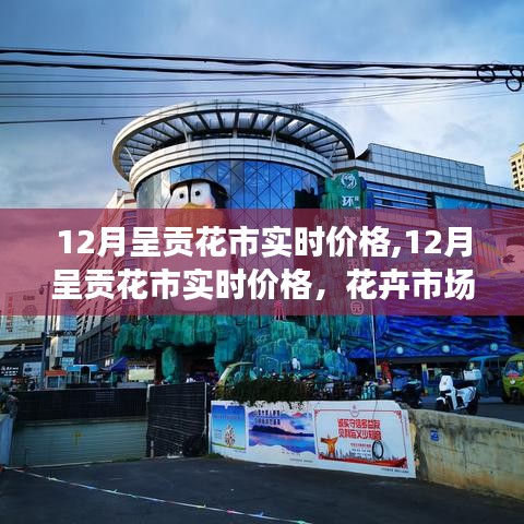 12月呈贡花市实时价格揭秘，花卉市场繁荣背后的消费洞察