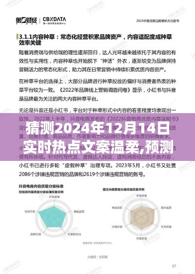 温柔变革，2024年12月14日实时热点展望与未来焦点预测