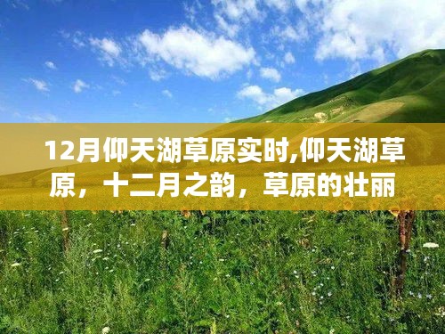 仰天湖草原十二月壮丽景色实时报道