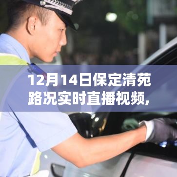 保定清苑路况实时直播视频详解，12月14日路况直播