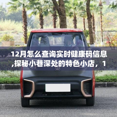 探秘小巷特色小店，12月实时健康码信息查询攻略