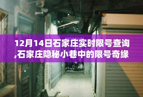 石家庄隐秘小巷限号奇缘，探寻特色小店的非凡之旅 12月14日实时限号查询