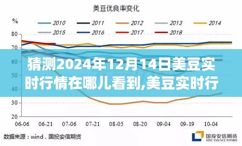 探寻美豆实时行情预测新视角，深度评测预测平台，聚焦2024年12月14日时点