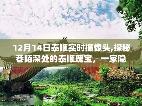 探秘泰顺瑰宝，实时镜头下的隐藏版特色小店之旅（12月14日）