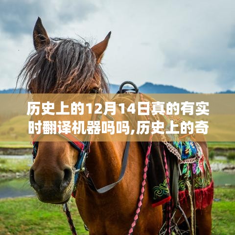 探寻翻译机器神秘起源，历史奇迹与自然美景之旅的交汇点——12月14日的奇迹时刻