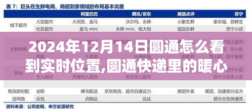 蠉飞蠕动 第4页