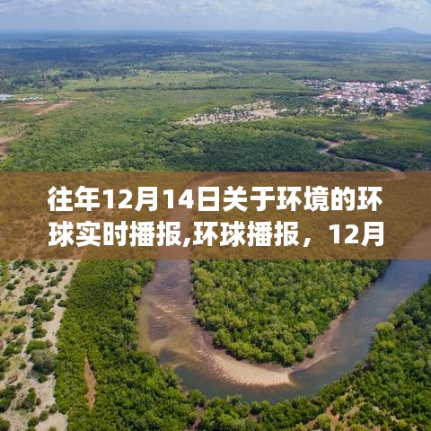 环球播报，绿色之旅寻找内心平静之旅，环境播报回顾与前瞻