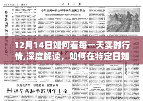 深度解读，如何在特定日期如12月14日洞悉每日实时行情动态分析指南