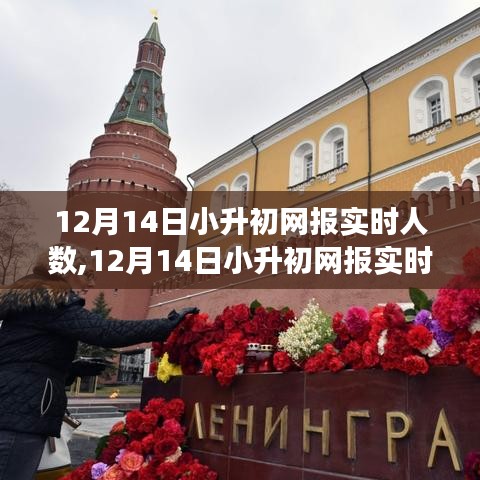 小升初网报实时人数背后的故事，自信与成长的力量在变化中展现