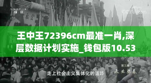 王中王72396cm最准一肖,深层数据计划实施_钱包版10.535