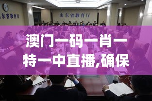 澳门一码一肖一特一中直播,确保问题解析_尊贵款2.153